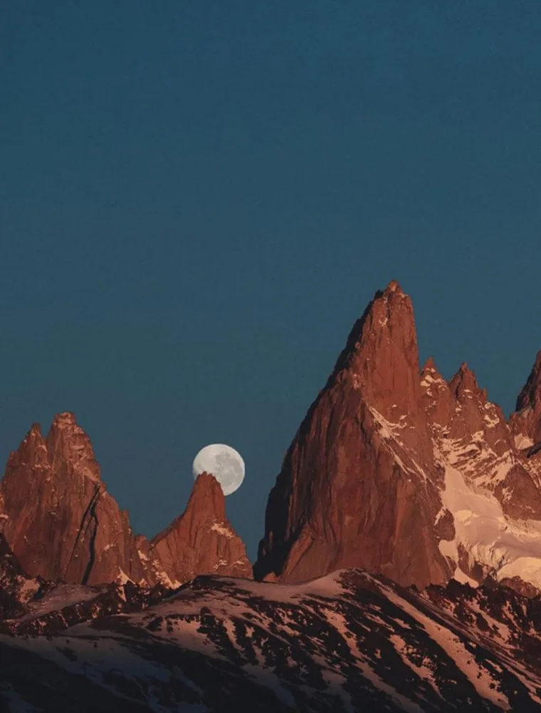 Dubaï Flower Perfumes