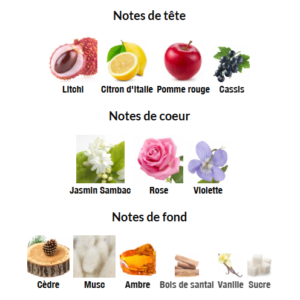 NOTES VANILLA LICHEE 80ml DUBAÏ FLOWER