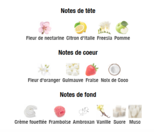 NOTES MARSHMALLOW 80ml DUBAÏ FLOWER