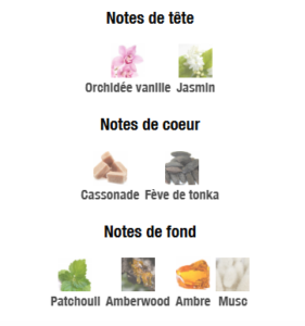 NOTES VANILLA 298 80ml DUBAÏ FLOWER