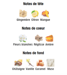 NOTES MANGO DREAM 80ml DUBAÏ FLOWER